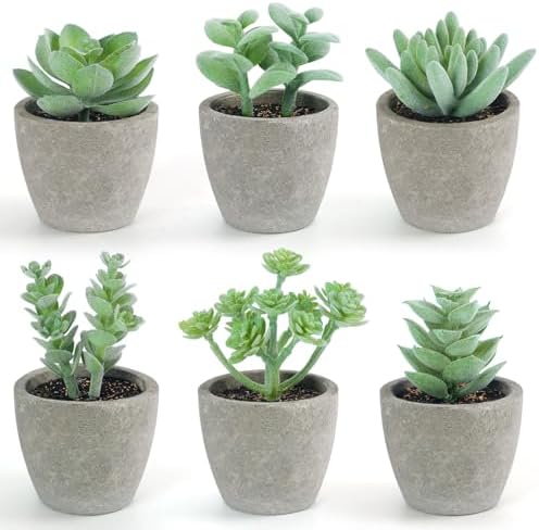DomeStar Set of 6 Artificial Green Succulent Plants Potted by DOMESTAR