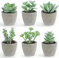 DomeStar Set of 6 Artificial Green Succulent Plants Potted by DOMESTAR