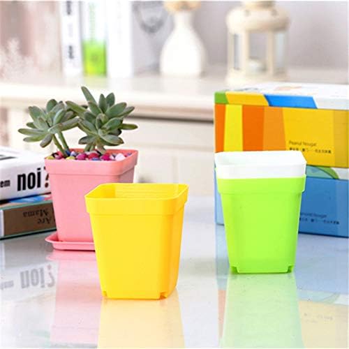 24 Pack 3inch Multi Color Square Plastic Plant Pots,Seedling Nursery Transplanting Planter Container Indoor Outdoor for Your Room,Garden Office and Balcony Decor - Image 3