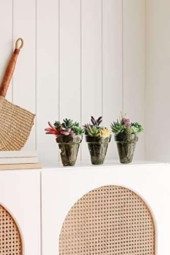 Artificial Succulent Plants - 18 Pack - Premium Fake Plants - Double Flocked Succulents - Realistic Textured Cactus - Face Succulent Plants - Mini Faux Succulents - Face Plant Decor - Image 6