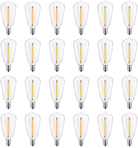 GvvooHome 24 Pack ST38 Replacement Bulbs for Outdoor String Lights, 2700K by GvvooHome
