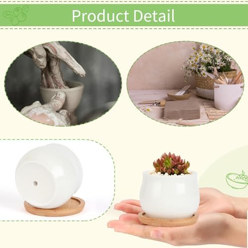 SHECIPIN 2 Pack Succulent Pots, 2.5 Inch Mini Ceramic Pots for Flower or Cactus Plants with Drainage Hole,Plants Not Included (White) - Image 4