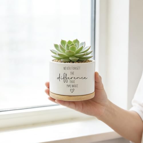 DOFAFALA Funny Planter Succulent Flower Pot, Flower Cactus Planter Gifts, Appreciation Inspirational Gifts for Plant Lovers Women Men Coworkers Home Office Decor (No Plants) - Image 3