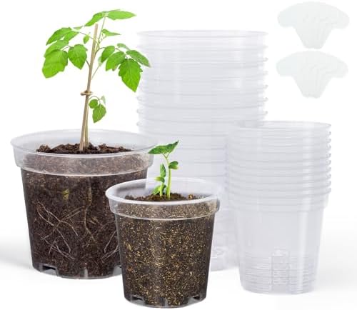 homenote 3/4 Inch Clear Nursery Pots with Drainage Holes and Tags (20 Pcs) by HOMENOTE