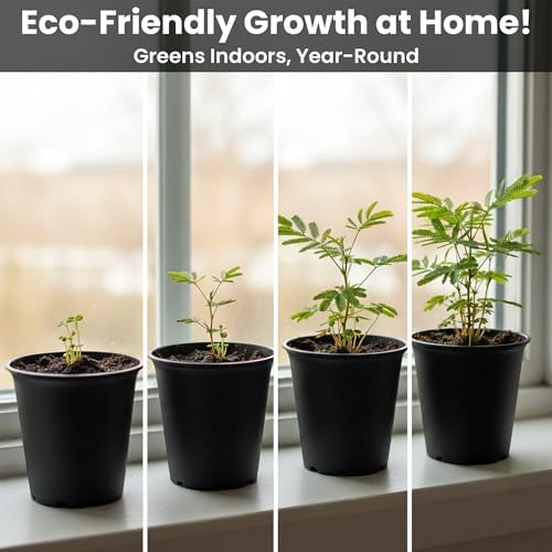 Zombie Plant Greenhouse Grow Kit - Touch It and Watch It Play Dead - Unique Grow Kit to Cultivate a Fun Indoor Plant that Revives in Minutes - Cool Plants and Great for Housewarming Gifts - Image 4