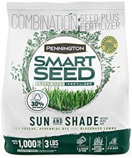 Pennington Smart Sun and Shade Grass Seed Mix North, Includes Kentucky Bluegrass, Tall Fescues, and Perennial Rye Grass Seeds for Lawn, 3lb by Pennington