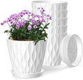 6 Inch Plant Pots, 6 Pack Indoor Flower Pots, Planters with Drainage Holes and Trays for Orchids, Violets, Succulents, Herbs, and Other Plants,White by SQKH