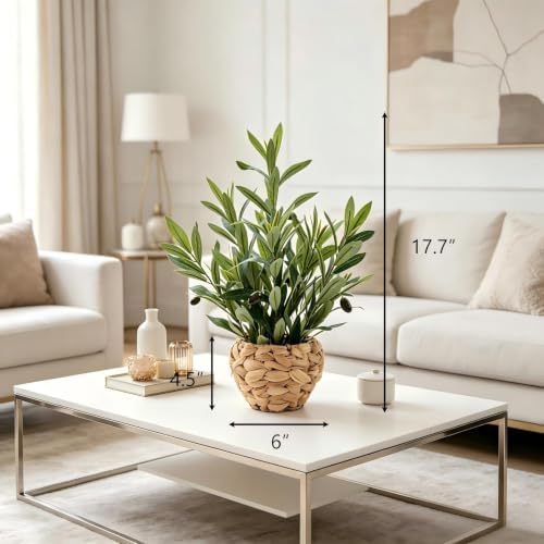AlphaAcc Fake Potted Plant Small Olive Water Hyacinth Mediterranean Decor - Image 2