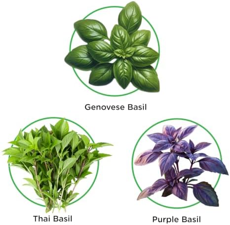 Basil Blend Seed Pod Kit - Pre-Seeded & Hand Made in the USA - Image 2