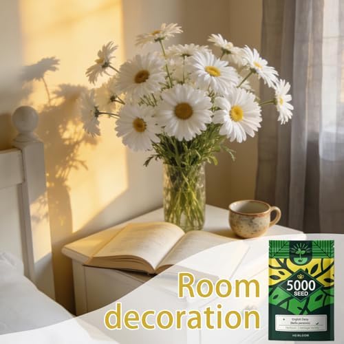 English Daisy Seeds for Planting Outdoor, Tiny Daisy Buttons, 5,000 Seeds - Image 4