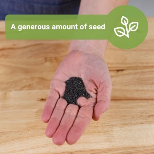 Sow Right Seeds - 1200 Bok Choy Seed for Planting Bulk Jumbo Pack Pak Choi - Image 3