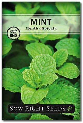 Sow Right Seeds - Mint Seed for Planting Outdoor Indoor Perennial Herb by SowRightSeeds