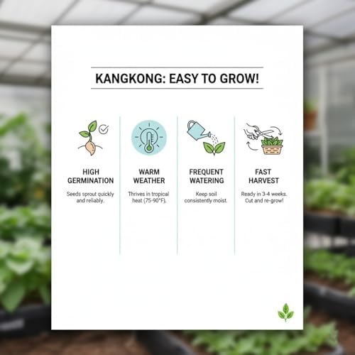 1000 Kangkong Seeds for Planting – Rau Muong Seeds Vietnam Variety – Kong Xin CAI Ong Choy Asian Vegetable for Filipino & Vietnamese Garden Growing - Image 6