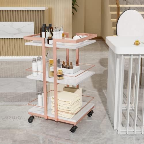 Esthetician Cart with Wheels Utility Salon Rolling Trolley, Mobile Storage Organizer for Beauty Spa Cosmetology Massage, Tattoo Manicure Facial Tool Holder Station - Image 2