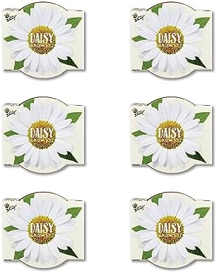 BUZZY Seeds Daisy Daydream Grow Kit 6-Pack, Mini Terracotta Pots, Indoor - Image 2