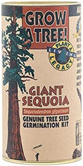 Giant Sequoia | Tree Seed Grow Kit | The Jonsteen Company by TheJonsteenCompany