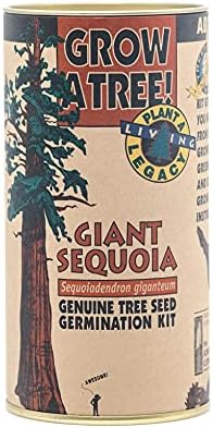 Giant Sequoia | Tree Seed Grow Kit | The Jonsteen Company by TheJonsteenCompany