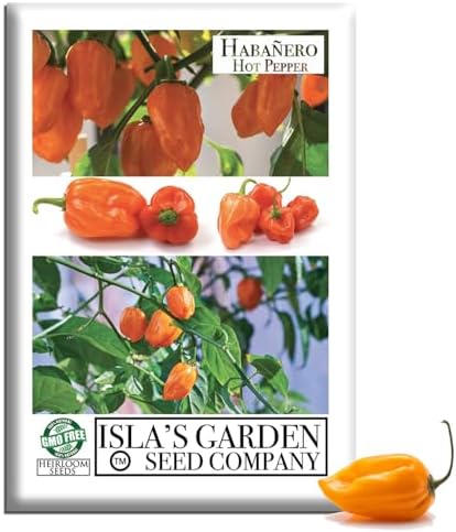 Habanero Hot Pepper Seeds (Capsicum chinense) – 25+ Heirloom Non-GMO Seeds by Isla’s Garden Seeds, Fiery Lantern-Shaped Peppers for Salsa & Hot Sauce, Productive Warm-Season, Bold Flavor for Cooking by IslasGardenSeedsCompany