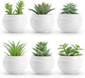 Der Rose 6 Pack Succulents Fake Plants for Bedroom Bathroom Home Decor by DerRose