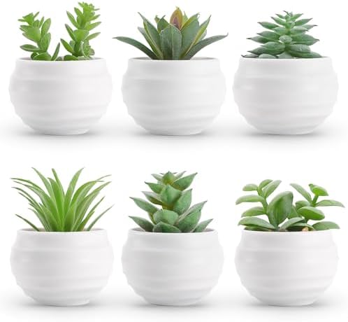 Der Rose 6 Pack Succulents Fake Plants for Bedroom Bathroom Home Decor by DerRose