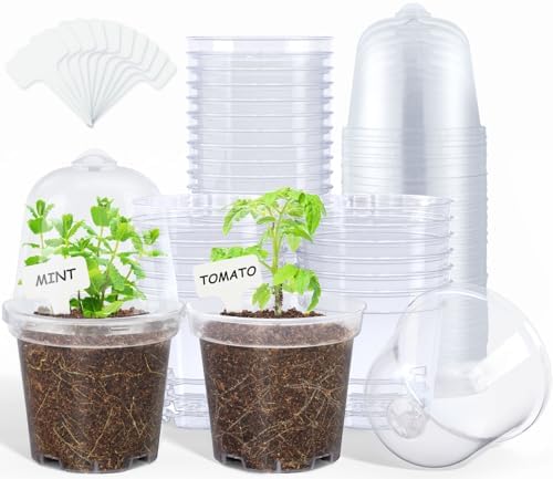 homenote 4 Inch Clear Nursery Pots with Humidity Domes and Labels (30 Pcs) by HOMENOTE