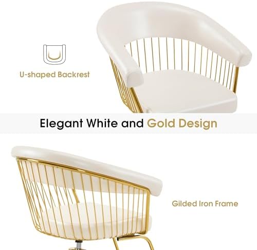 BarberPub Salon Chair for Hair Stylist, Beauty Salon Chair 8677(Champagne) - Image 4