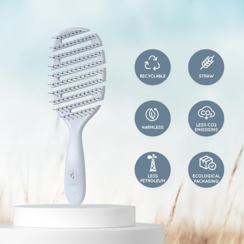 Ecoed Hair brush, Vented Detangling Brush, Quickly Detangles and Smooths hair for Curly, Thick, and Straight Hair, Hair Brush for Women and Men, Blue, Eco Friendly, Sustainable Material - Image 3