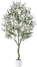 Artificial Olive Tree Indoor 6FT, Tall Faux Olive Tree with White Planter by JOCOEVOL