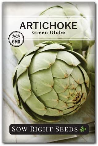 Sow Right Seeds - Green Globe Artichoke Seed for Planting Outdoor Perennial by SowRightSeeds