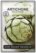 Sow Right Seeds - Green Globe Artichoke Seed for Planting Outdoor Perennial by SowRightSeeds