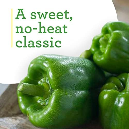Bonnie Plants Green Bell Pepper Live Vegetable Plants - 4 Pack, Non-GMO, 2 - 3 Ft Plants, 4.5 x 4 Inch Pepper Size - Image 4
