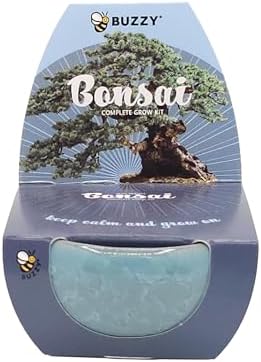 Buzzy Seeds Bonsai Tree Grow Kit 4-Pack, Ceramic Pots, Pine and Spruce - Image 7