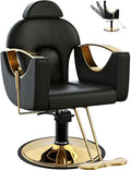 Black Salon Barber Chair for Hair Stylist, Professional Reclining Hydraulic Styling Chair with Heavy-Duty Pump, All Purpose Hairdresser Chair for Barbershop, Braiding, Shampoo, Spa, Salon Equipment by FELIVINE