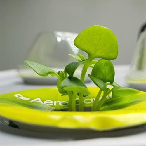 Grow Domes Compatible with AeroGarden (50-Pack) - Image 5