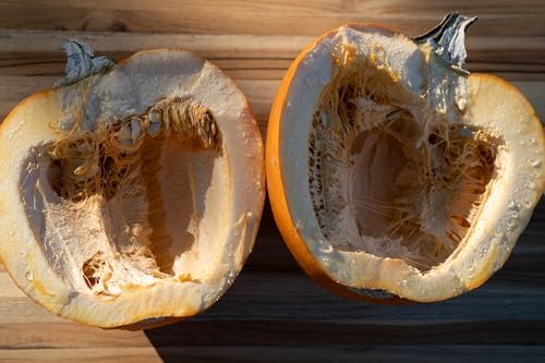 Organic New England Pie Pumpkin Seeds: 20 Count - Image 5