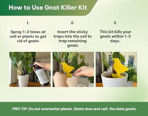 Kate's Home & Garden Plant Spray for Insects & Gnats, 12 Sticky Traps, 16oz - Image 4