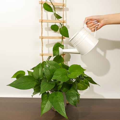 Plant Ladder Indoor Plants Hanging Wooden Trellis Vine Support - Image 3