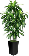 Artificial Dracaena Tree Indoor, 5FT Tall Fake Tree with Black Tall Planter by PUUKU