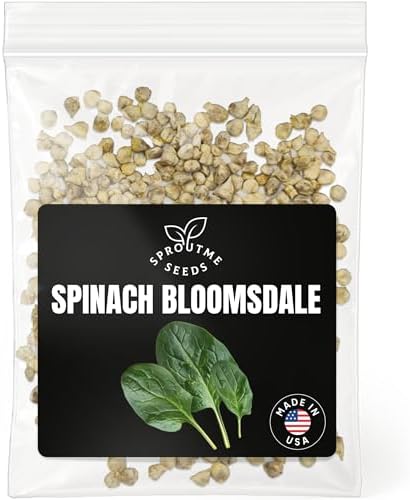 SproutMe Spinach Bloomsdale Long Standing 500+ Seeds for Planting, Non-GMO by SproutMeSeeds
