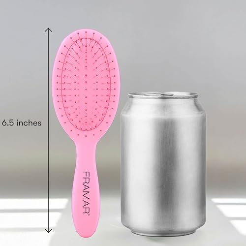 FRAMAR Mini Hair Brush Detangler, Mini Brush For Hair, Compact For Travel - Image 6