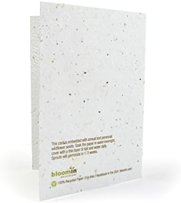 Bloomin Seeds N' Greetings Cards - Handmade Seed Paper - Holiday Tree (8 Pack) - Image 2