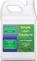 Commercial Grade Lawn Energizer - Grass Fertilizer Booster with Nitrogen, Iron, Micronutrients - Liquid Turf Spray Concentrated Fertilizer- Any Grass Type - Simple Lawn Solutions (1 Gallon) by SimpleLawnSolutions