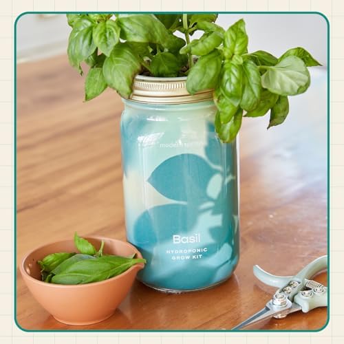 Modern Sprout Hydroponic Grow + Harvest Bundle - Image 4