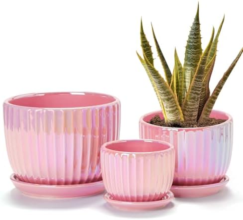 Ceramic Plant Pots 4+5.5+6.7 Inch Indoor Planters with Drainage & Saucers by TonSin