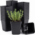50 Packs Square Nursery Pots for Plants 2.2 Inch Seedling Pots by Unknown
