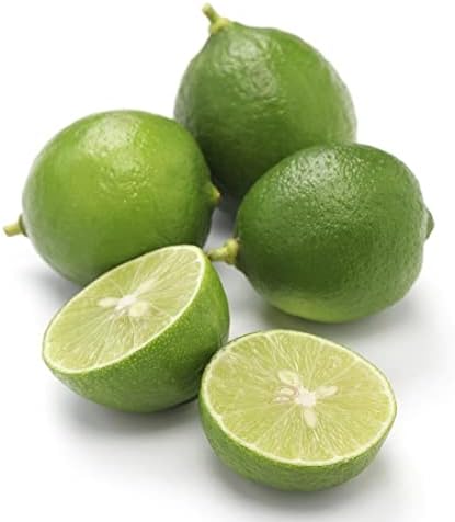 Mexican Key Lime Tree - 2-5 Inch Tall Live Plant - Potted Lime Fruit Seedling - Citrus aurantifolia - Image 4