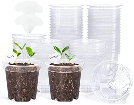 homenote 3 Inch Clear Nursery Pots with Drainage Holes, 20 Labels (60 Pcs) by HOMENOTE