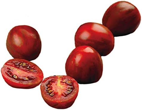 Park Seed Cherry Tomato Seeds, Planting Vegetables, Easy to Grow, Non-GMO, Variety of Colors and Sizes, Spring Garden, Chocolate Cherry, Pack of 30 by ParkSeed