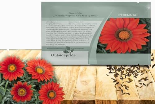 Outsidepride Kiss Frosty Red Gazania Seeds for Planting – 25 Pcs Perennial, Low-Maintenance, Drought-Tolerant Ground Cover Seeds for Vibrant Summer & Fall Flowers, Great for Outdoor Gardens by Outsidepride