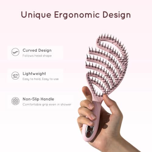 Ecoed Detangling Brush, Vented Upgraded Anti-Static Detangler Hair Brush - Image 4